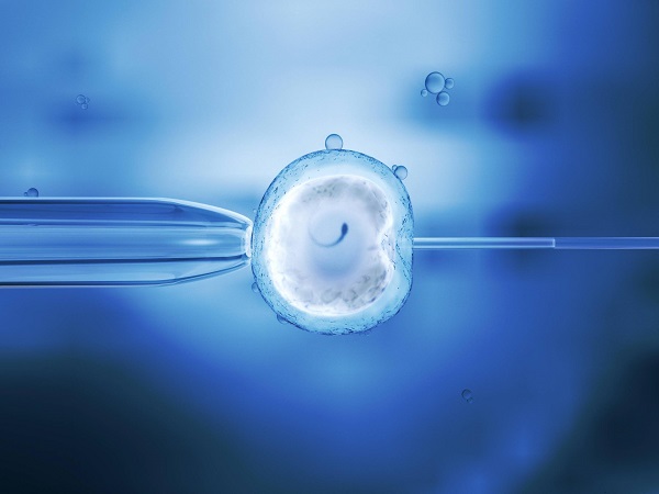 优胚和囊胚移植成功率都比较高