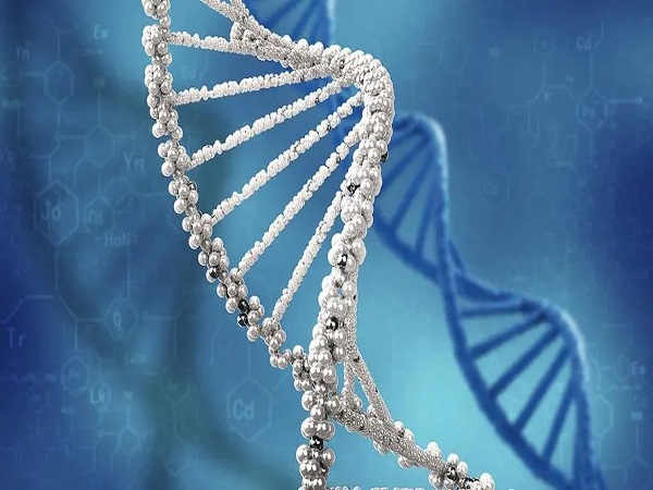 孕前基因检查是对夫妻的染色体进行检查