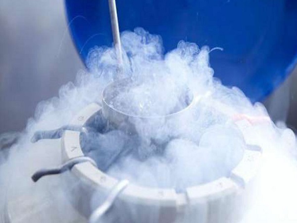 冷冻胚胎就是将胚胎放在零下进行保存