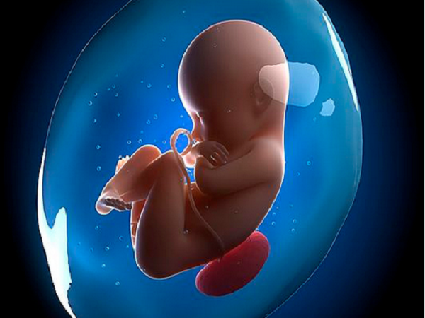 试管婴儿也会出现胎停育的情况