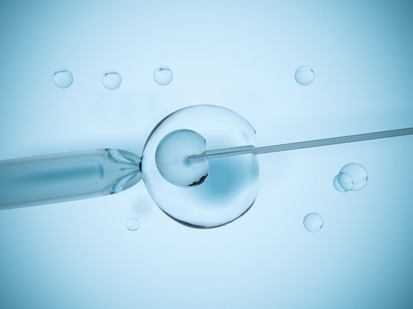 试管胎停后移植剩下的胚胎没有影响
