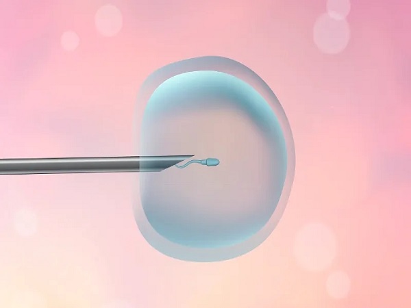 一胎试管二胎也可以通过试管生育