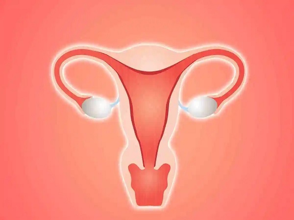 子宫内膜会影响试管的移植成功率