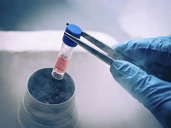 冻胚移植是试管中常用的一种方式
