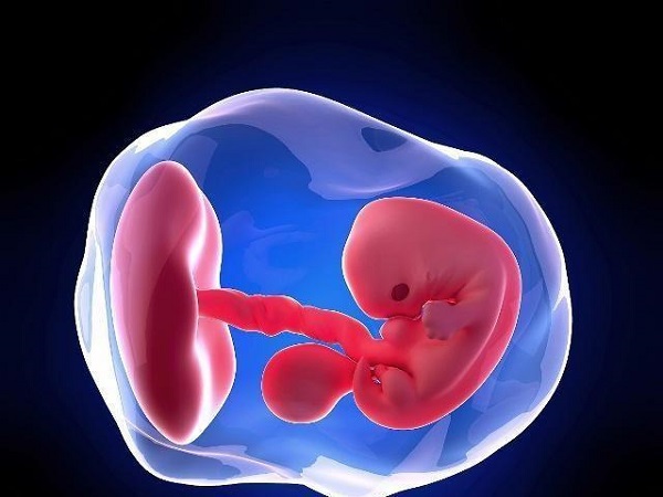 孕9周可以通过B超看到胎心和胎芽了