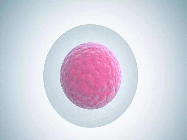 冻胚移植9天早孕试纸测不到是有原因的