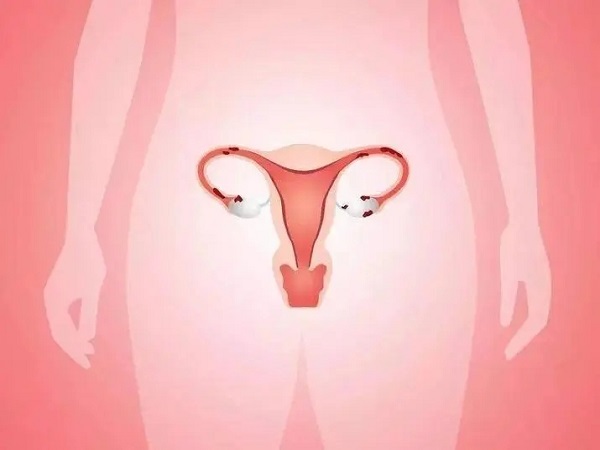 人工周期移植对子宫内膜厚度有要求