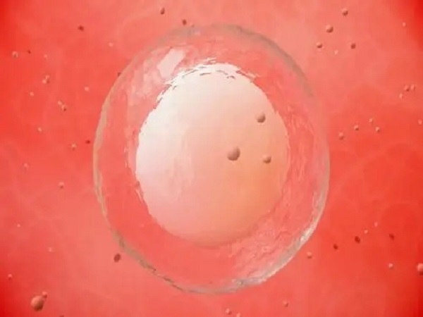 月经第10天测不到卵泡是不正常的