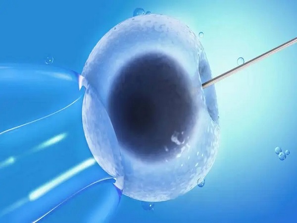 鲜胚移植对患者的身体要求比较高