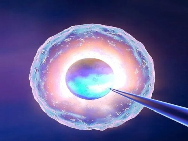 胚胎移植是试管婴儿的关键步骤
