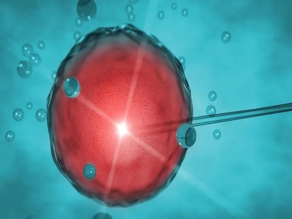 试管移植手术胚胎放的位置很重要吗？