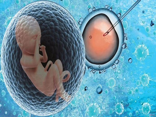 供精试管婴儿是助孕项目中的一种