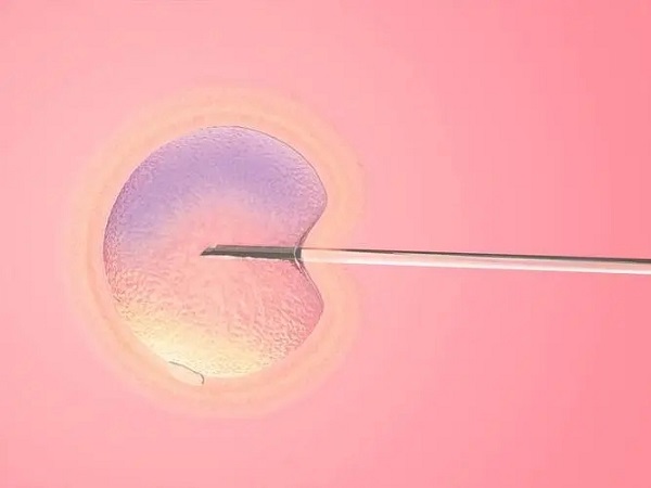 3bc囊胚还是有必要移植的