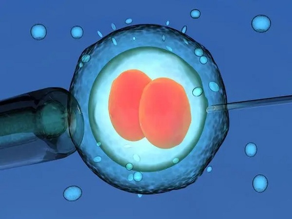 三代试管婴儿会在移植前对胚胎进行筛查