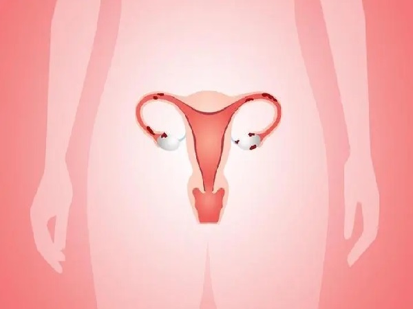 amh数值反映的是女性卵巢的储备功能