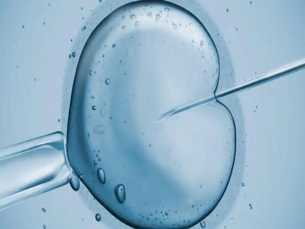 试管胚胎移植医生的技术是很重要的