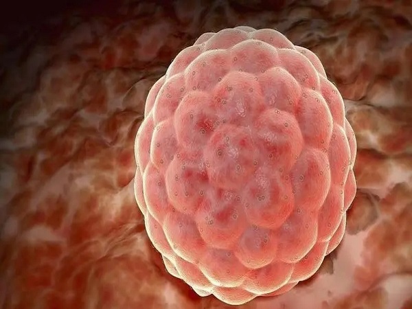 囊胚移植最晚14天能测出怀孕