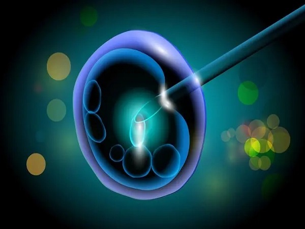 移植2个鲜胚只找到1个孕囊是正常的