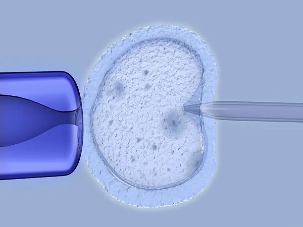 黄体期方案促排10天后可以移植胚胎