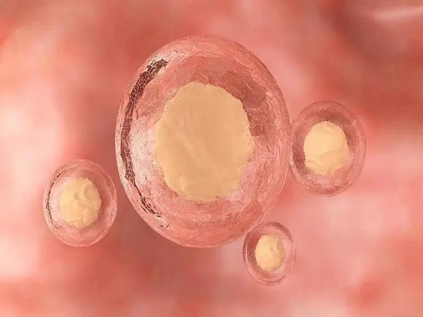 多次取卵无法配成胚胎需要调整促排方案