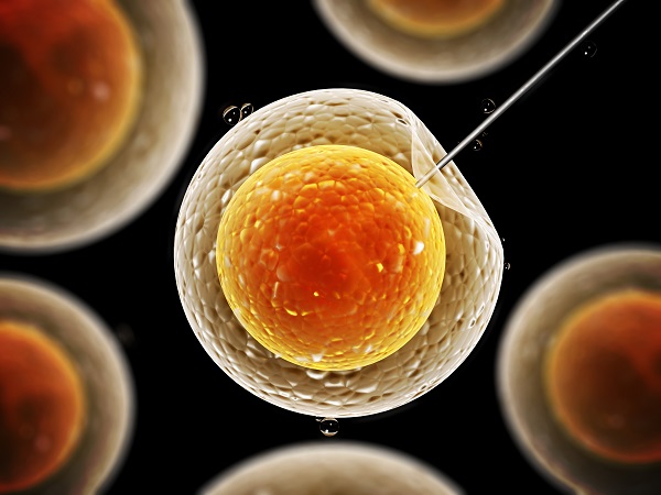 女性没排卵不能确定胚胎移植时间