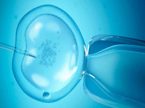 试管胚胎移植仅需5-10分钟