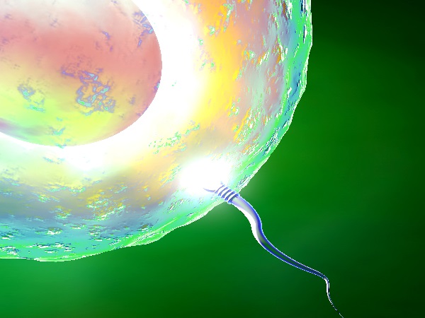 女人冻卵后怀孕还是需要男性的精子