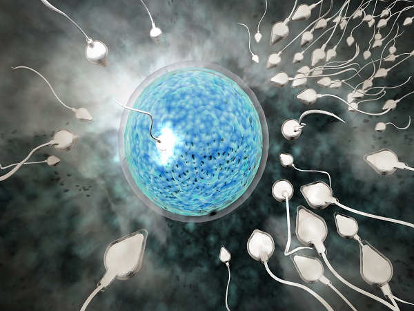 试管取2个卵子能培育几个胚胎不确定