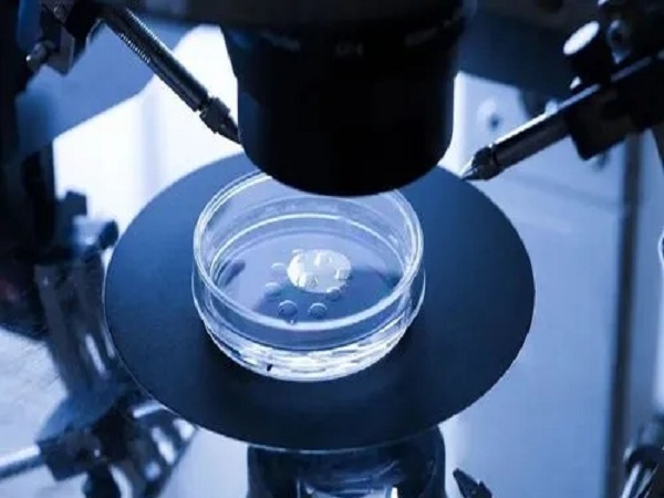 胚胎筛查准确率高