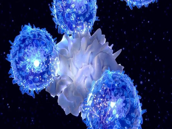 免疫有问题就会影响试管胚胎移植