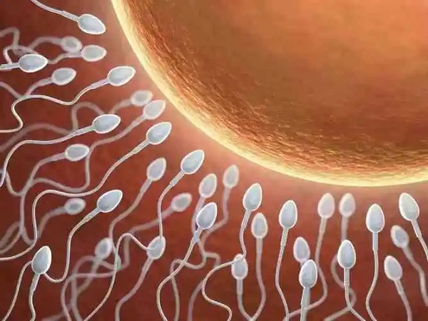 人工受孕一般是用自己老公的精子