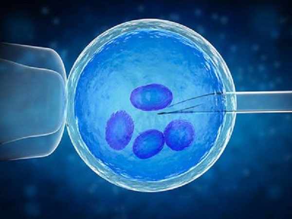 移植囊胚第五天测出一条浅色的红线属于正常现象