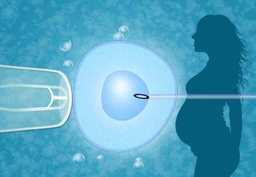 试管婴儿需要将精子和卵子取出来