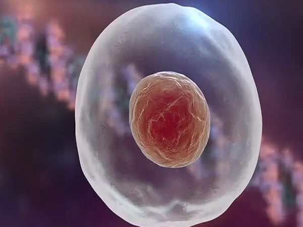 冻胚移植四天雌二醇达200pg/ml孕酮达20ng/ml比较正常