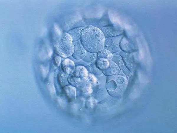 囊胚移植后测试纸颜色很浅是HCG的浓度过低