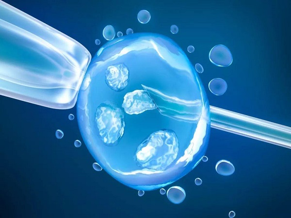 移植第六天的4ba囊胚是有成功案例的