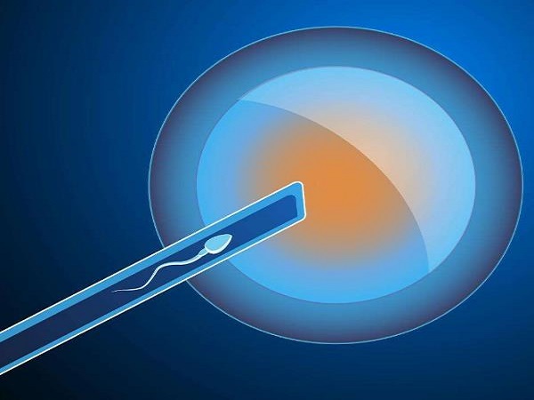 移植囊胚第十天雌二醇有147.96属于正常现象