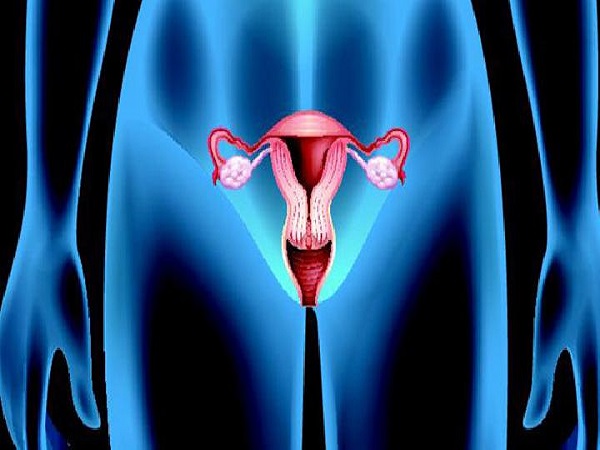 女性子宫内膜厚16mm要先诊断出病因