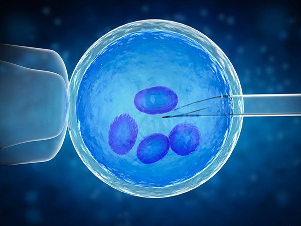 拮抗剂方案一般移植1-2个胚胎