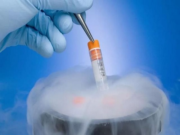 正常冷冻胚胎是一管冻两个胚胎