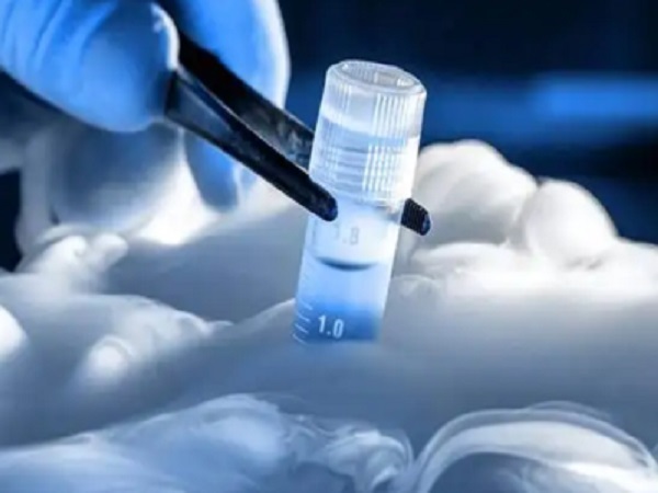 胚胎在零下100多度的环境下保存能够抑制细胞酶