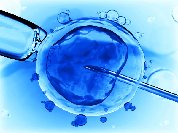 取卵当月能否移植鲜胚因人而异