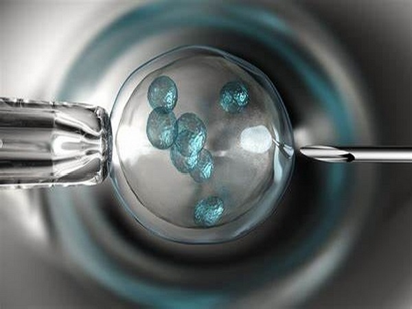 试管婴儿胚胎移植不能超过3个