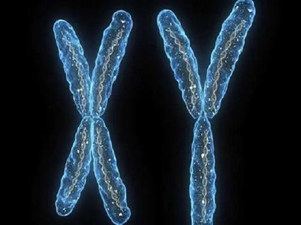 三代试管可以筛查染色体三倍体