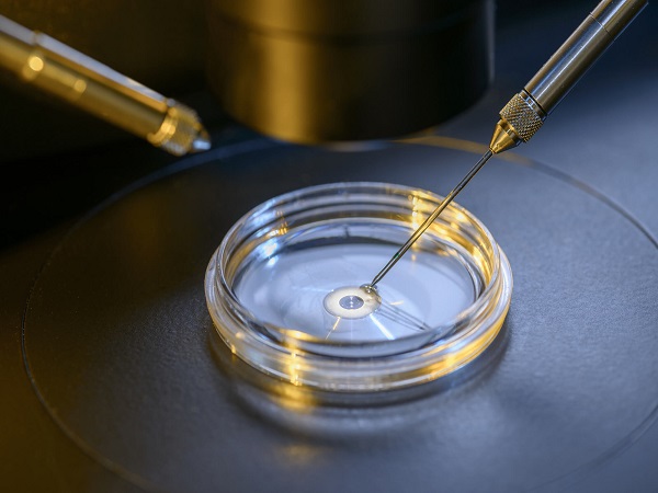 胚胎移植是试管婴儿中的重要环节