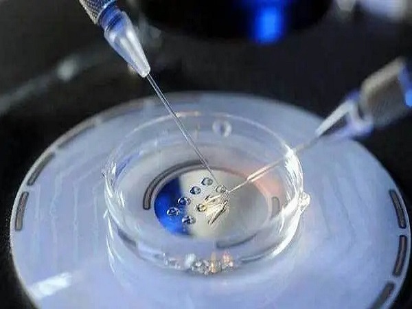 大部分医院都会建议胚胎冷冻时一管放两个