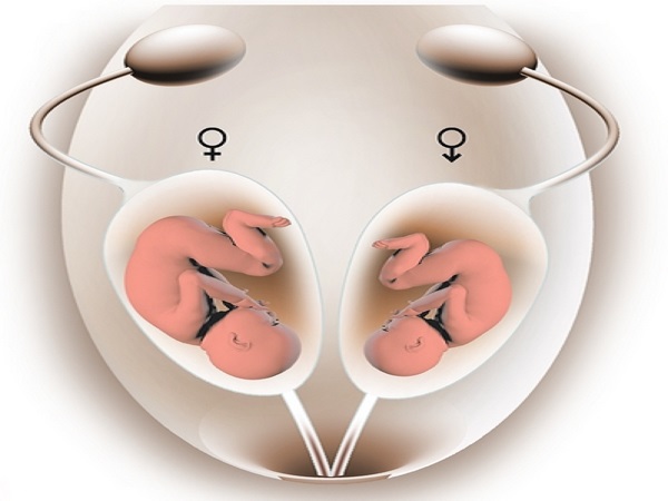 女性子宫内膜7.8mm也是可以进行移植的