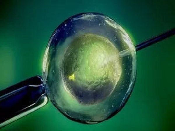 人工周期中囊胚和冻胚移植时间是没有区别的