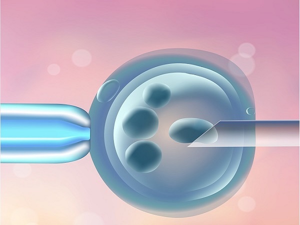 鲜胚移植后可能会在第10天着床