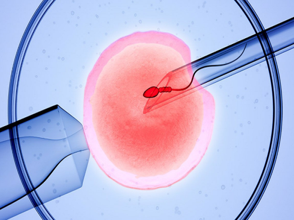 胚胎两周没有长大属于不正常现象
